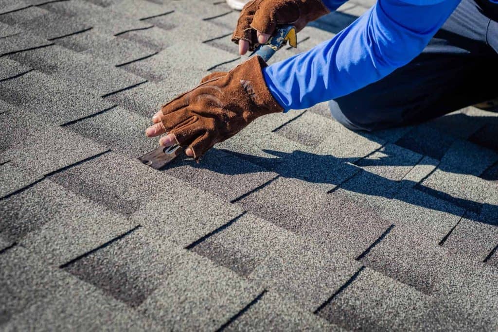 Roof Inspection