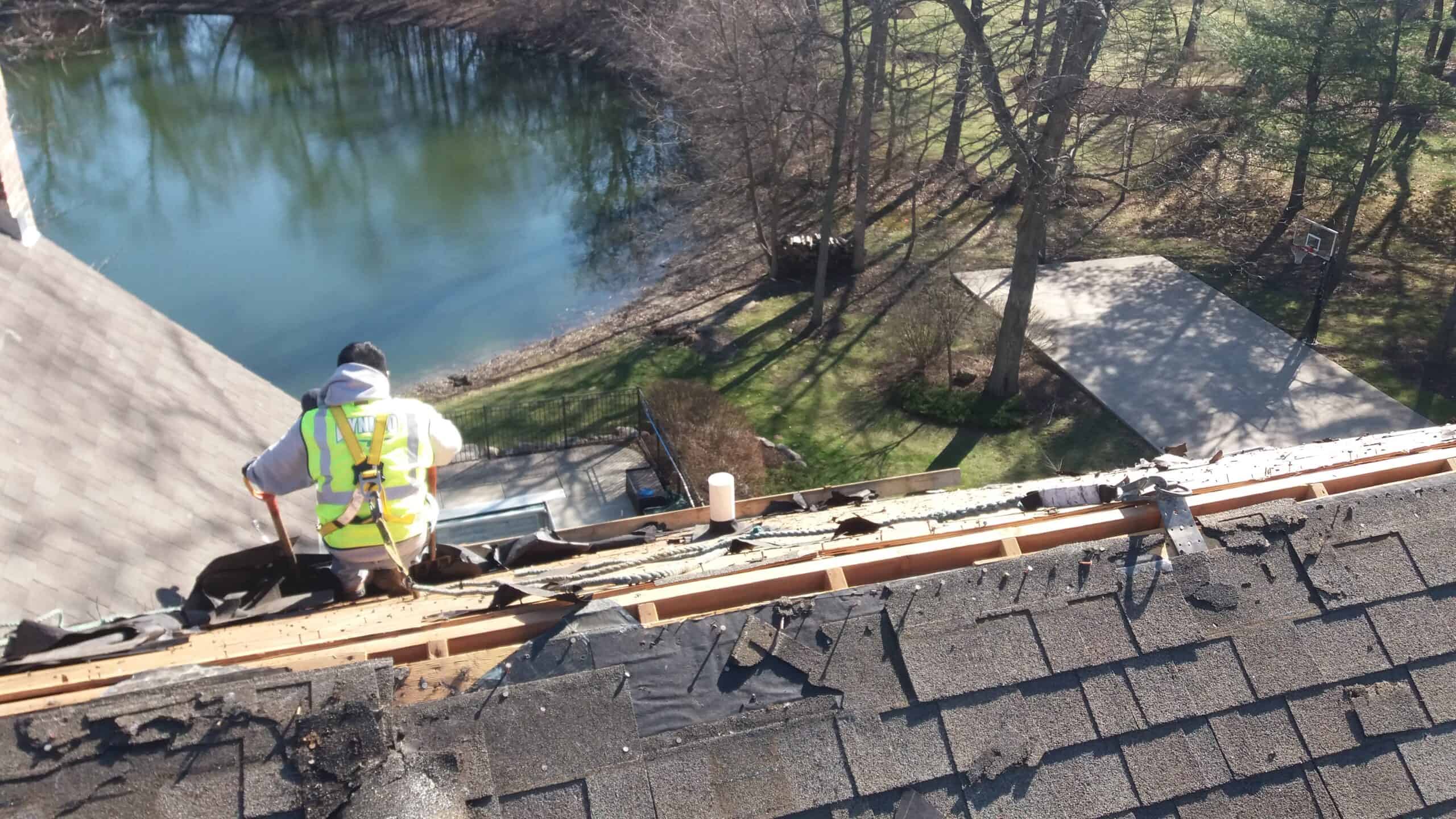 Professional Roofer